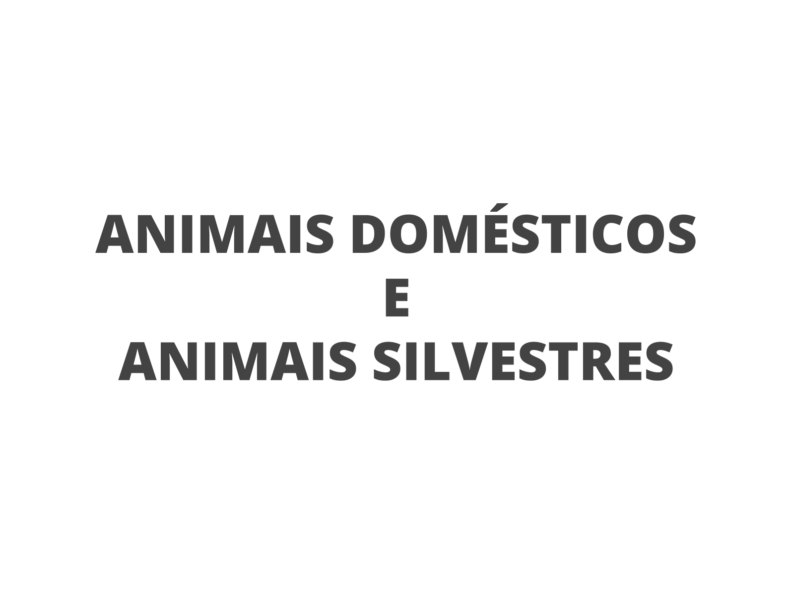 jogos alfabetização animais selvagens - Pesquisa Google