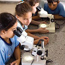 <strong>PESQUISA CIENTIFICA</strong>  Os alunos viraram especialistas em micro-organismos