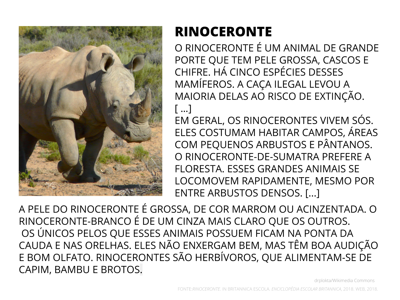 Exemplo De Verbete De Enciclopédia Infantil