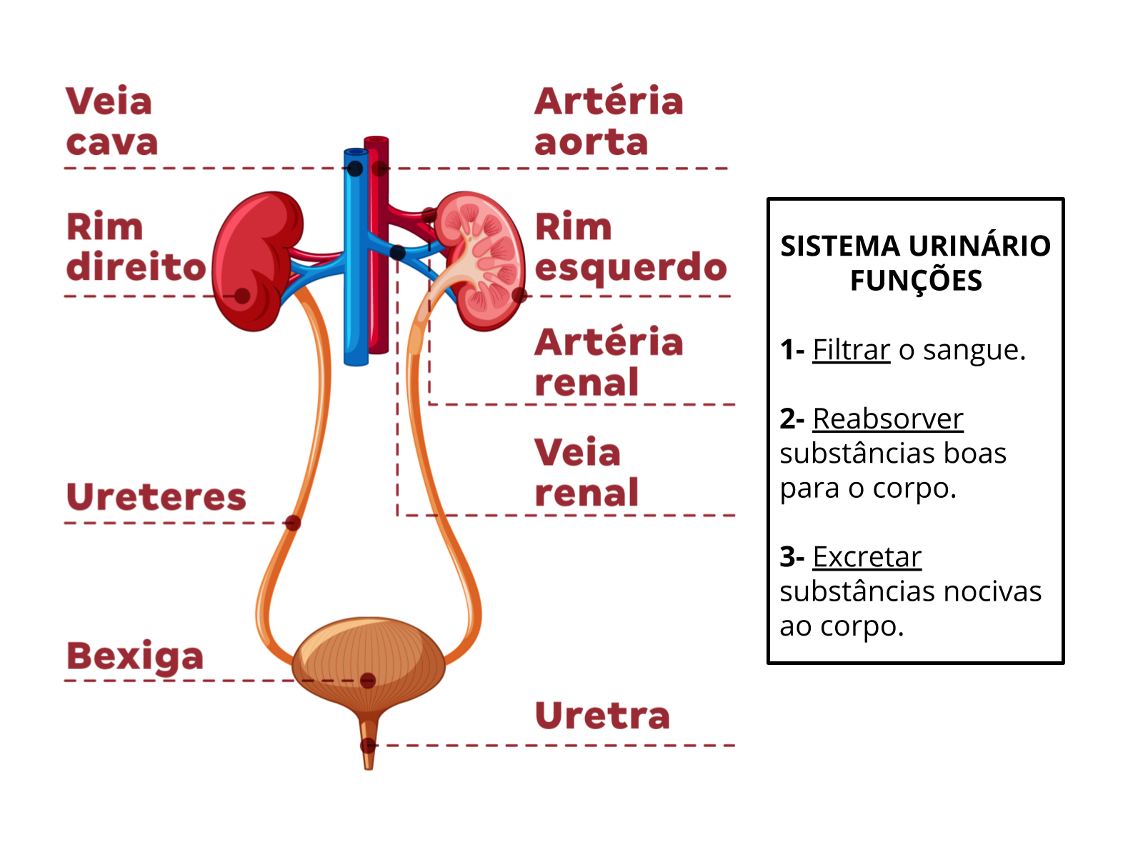 Sistematização