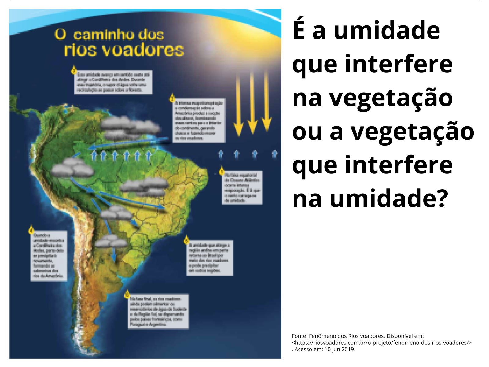 Floresta Amazônica: a relação entre o clima e a floresta - Planos de ...