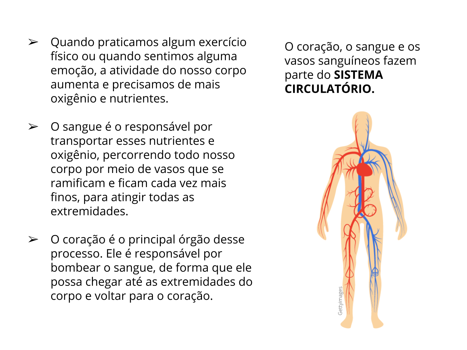 SISTEMATIZAÇÃO