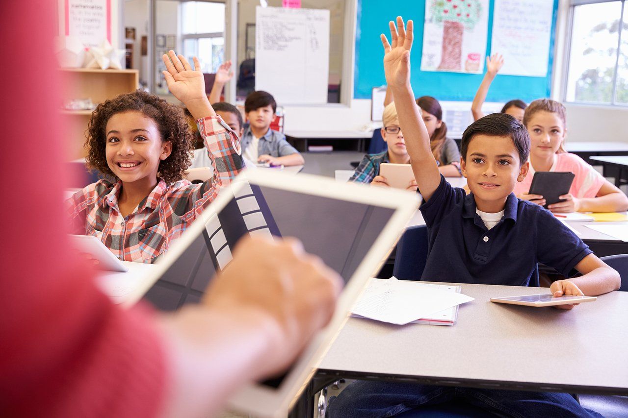 Percepção dos professores da escola de educação básica