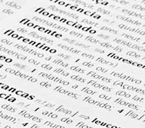 O mais recente dicionário da língua portuguesa, o Houaiss, lista 400 mil palavras. Foto: Pedro Rubens.