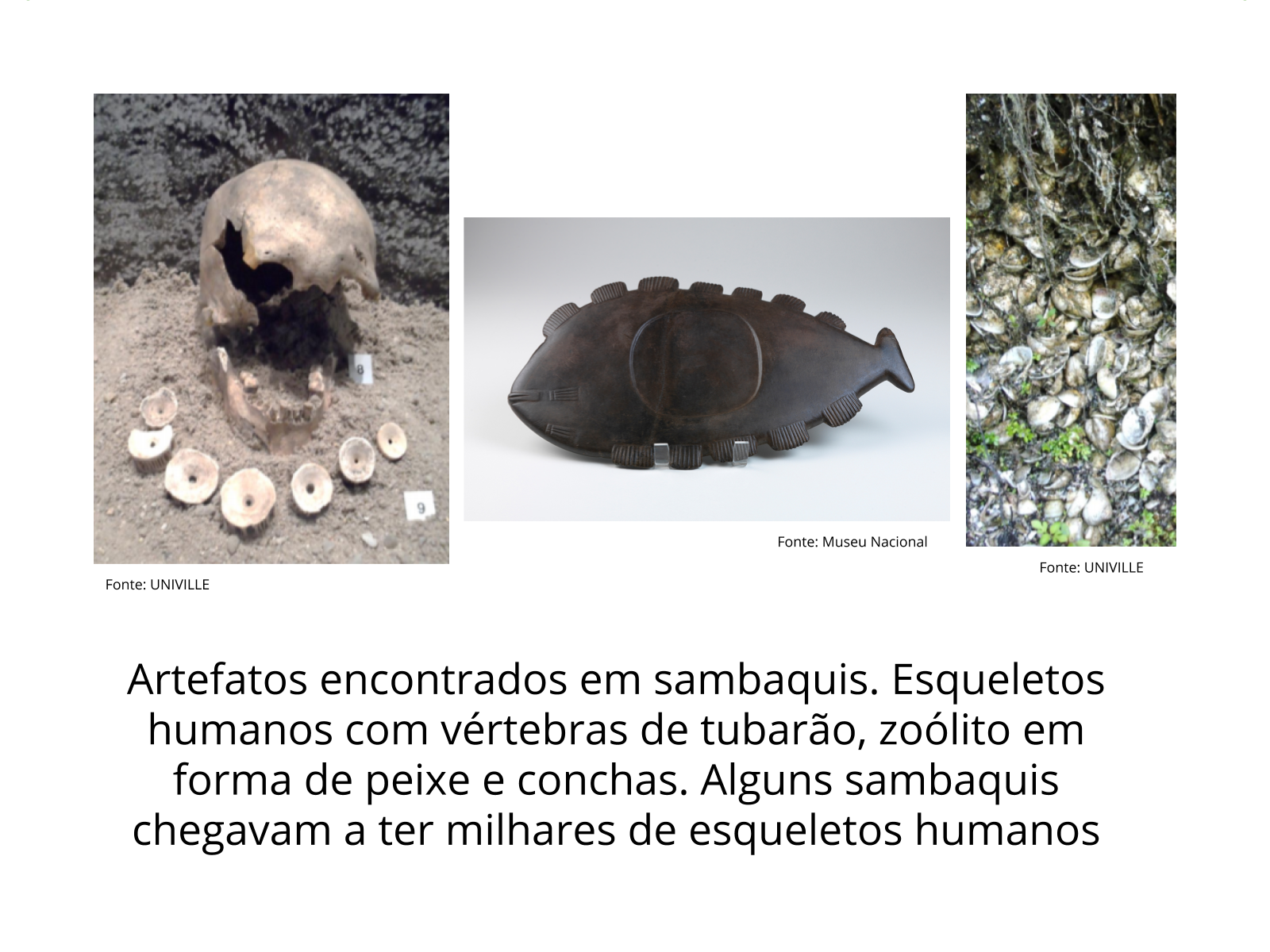 Plano de aula - 6º ano - Sambaquis