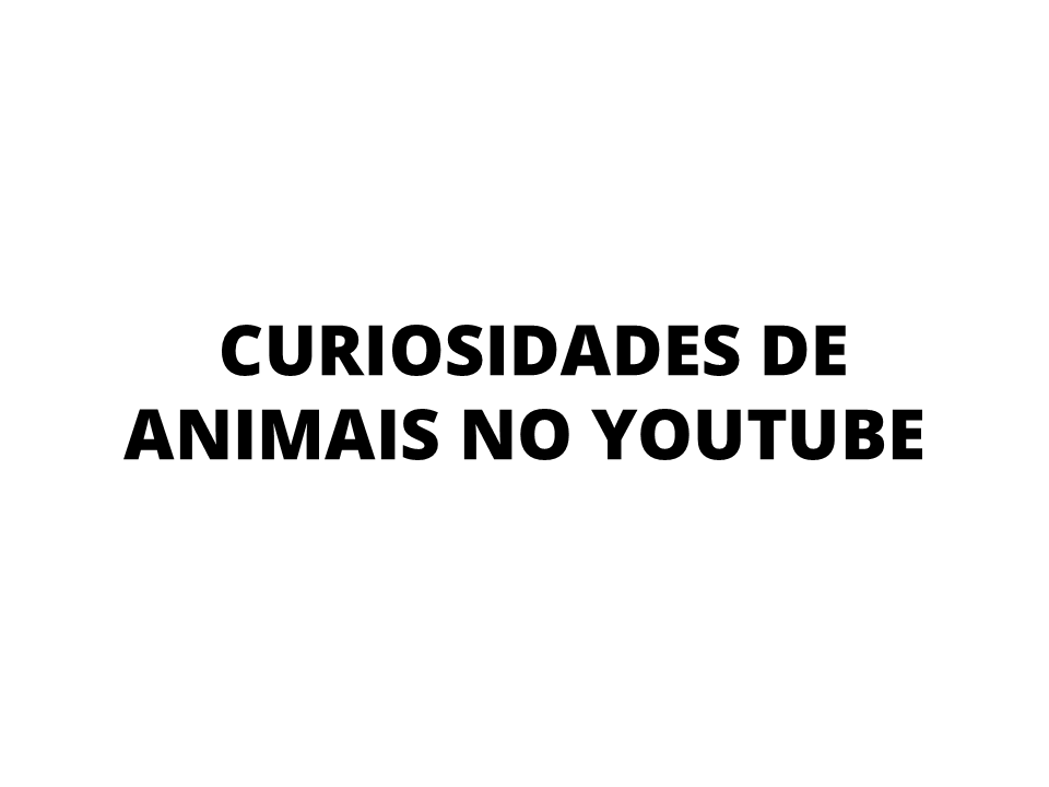 Curiosidades de animais no youtube