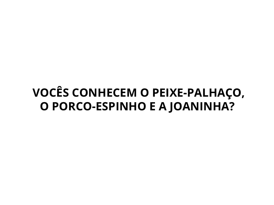 Vocês conhecem o peixe-palhaço, o porco-espinho e a joaninha?