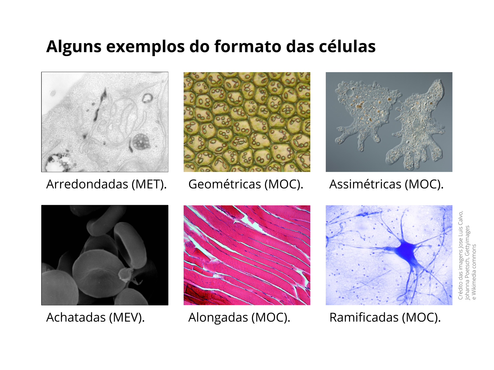 Sistematização