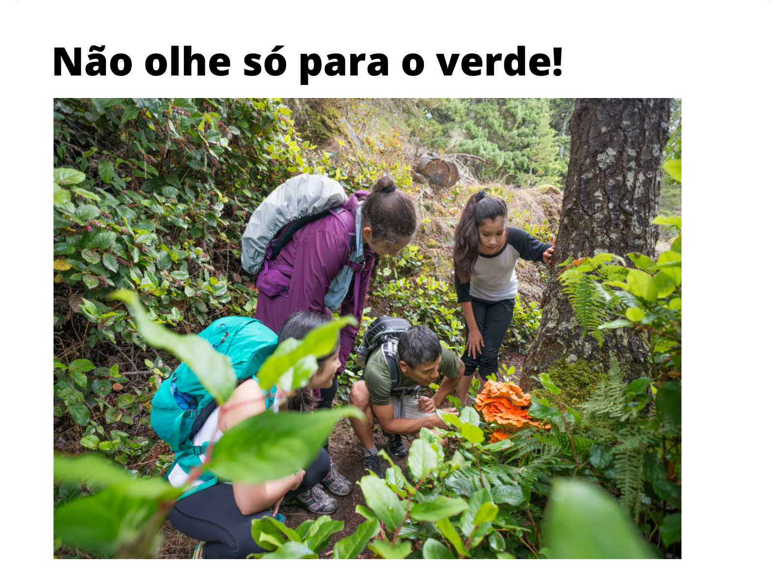 Tema da aula