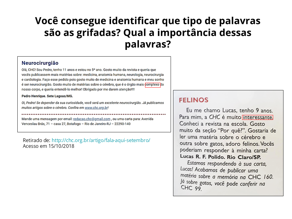 Você consegue identificar que tipo de palavras sao as grifadas? Qual a importância dessas palavras?