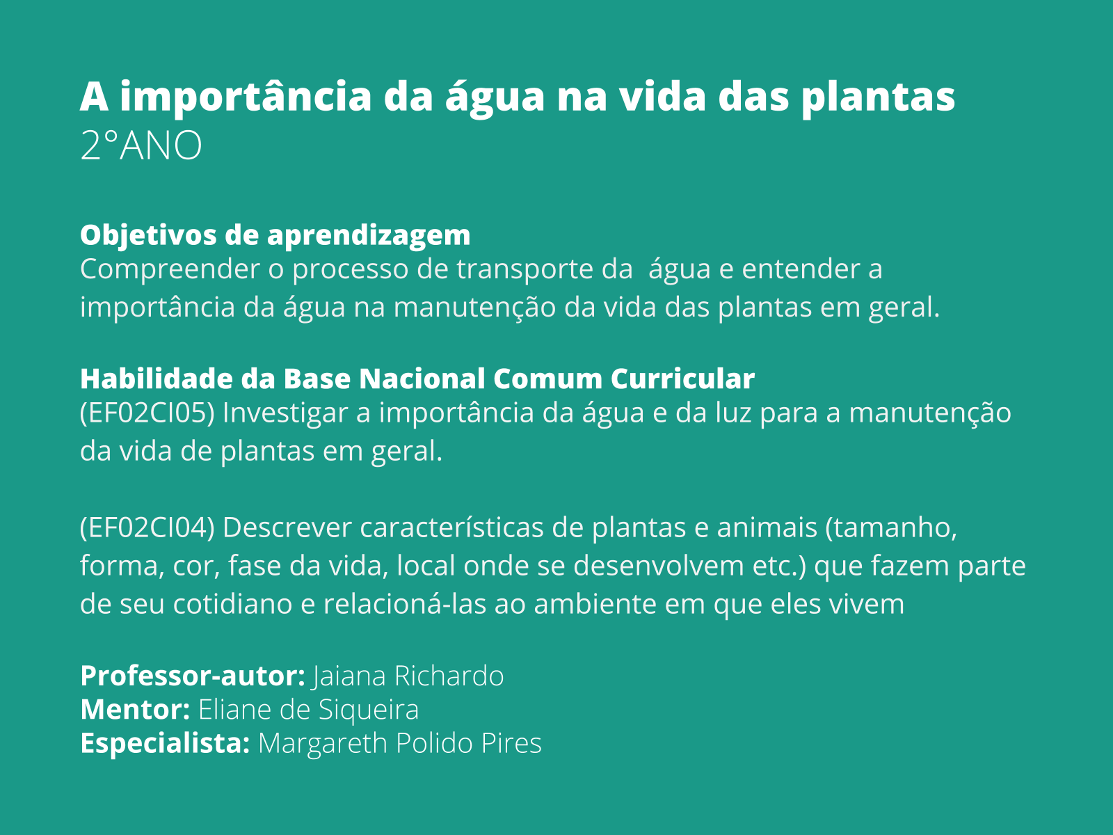 Sobre este plano