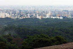 Parque Estadual da Cantareira. Foto: Rafael Cusato