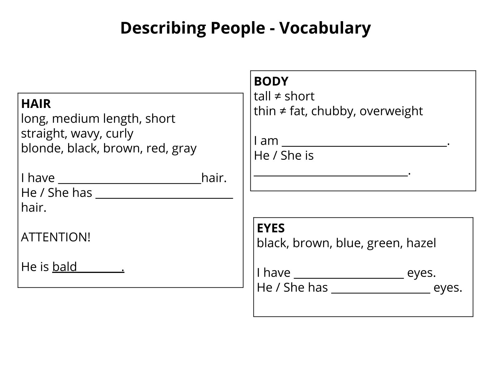 Aula de Inglês Básico 15: Descrevendo Pessoas (Describing People)