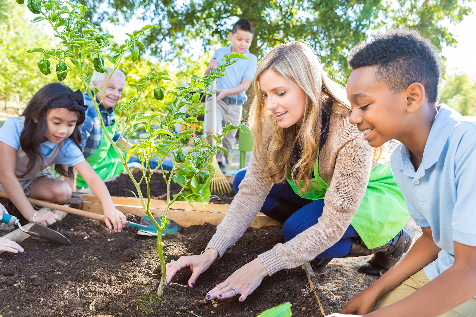 Professores e alunos em atividade de jardinagem e agricultura