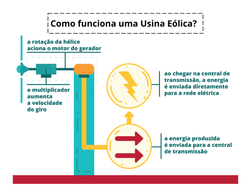 OELA cria e aplica QUIZ sobre conhecimentos gerais em relação ao