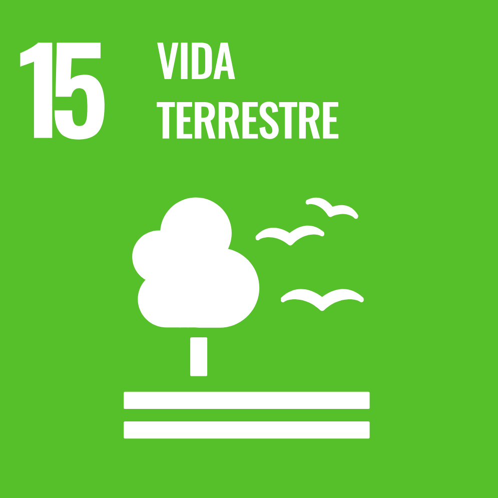 Objetivo de Desenvolvimento Sustentável no Brasil 15: Vida terrestre.
