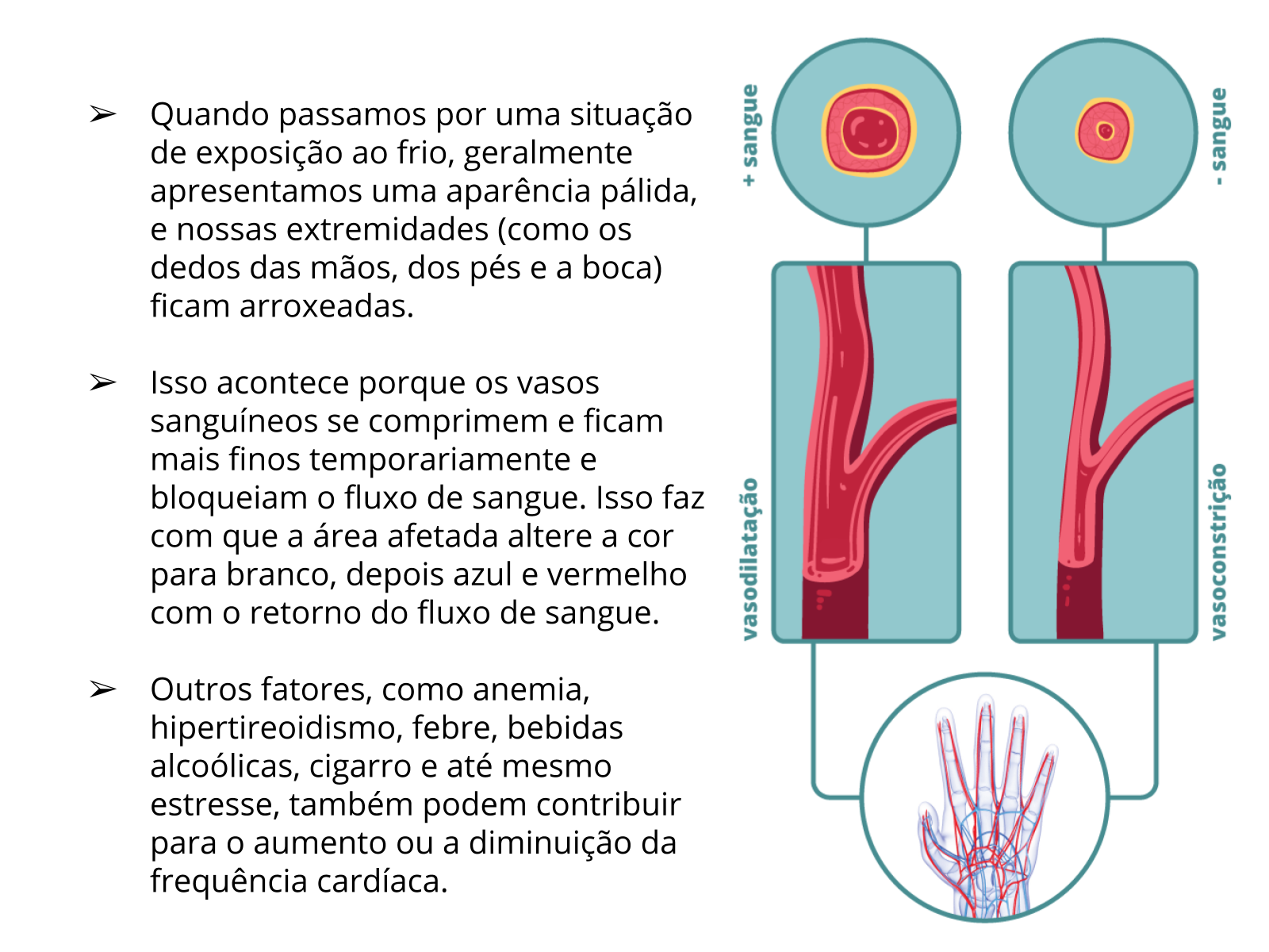 SISTEMATIZAÇÃO