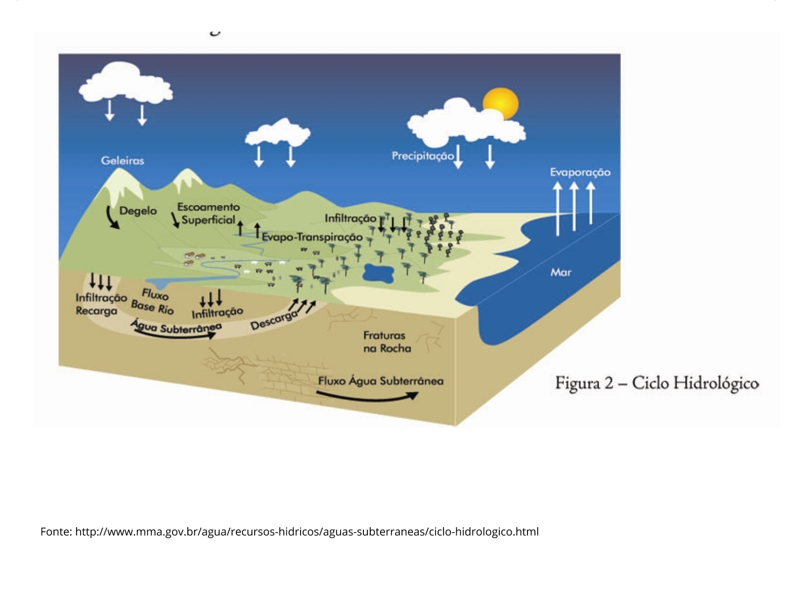 Perguntas e Respostas Meio Ambiente PDF, PDF, Ciclo da água