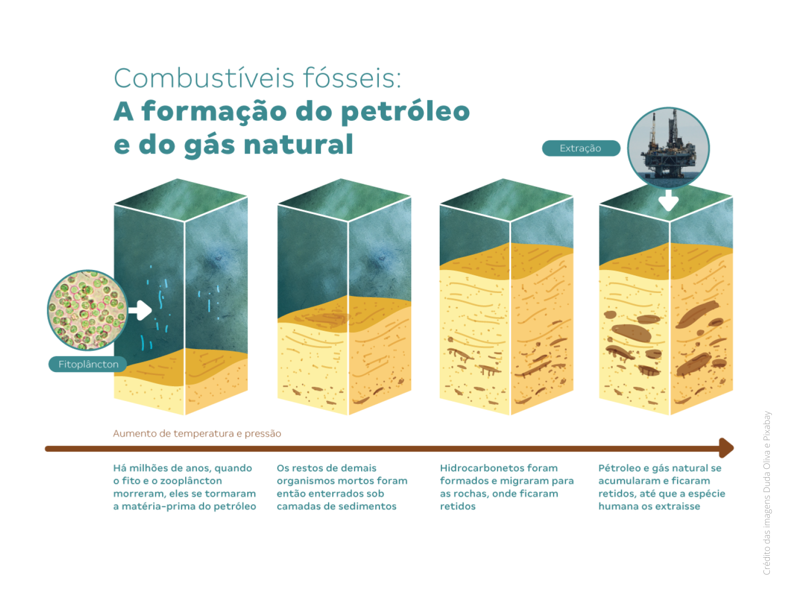 Petróleo E Gás Natural São Exemplos De Combustíveis Fósseis