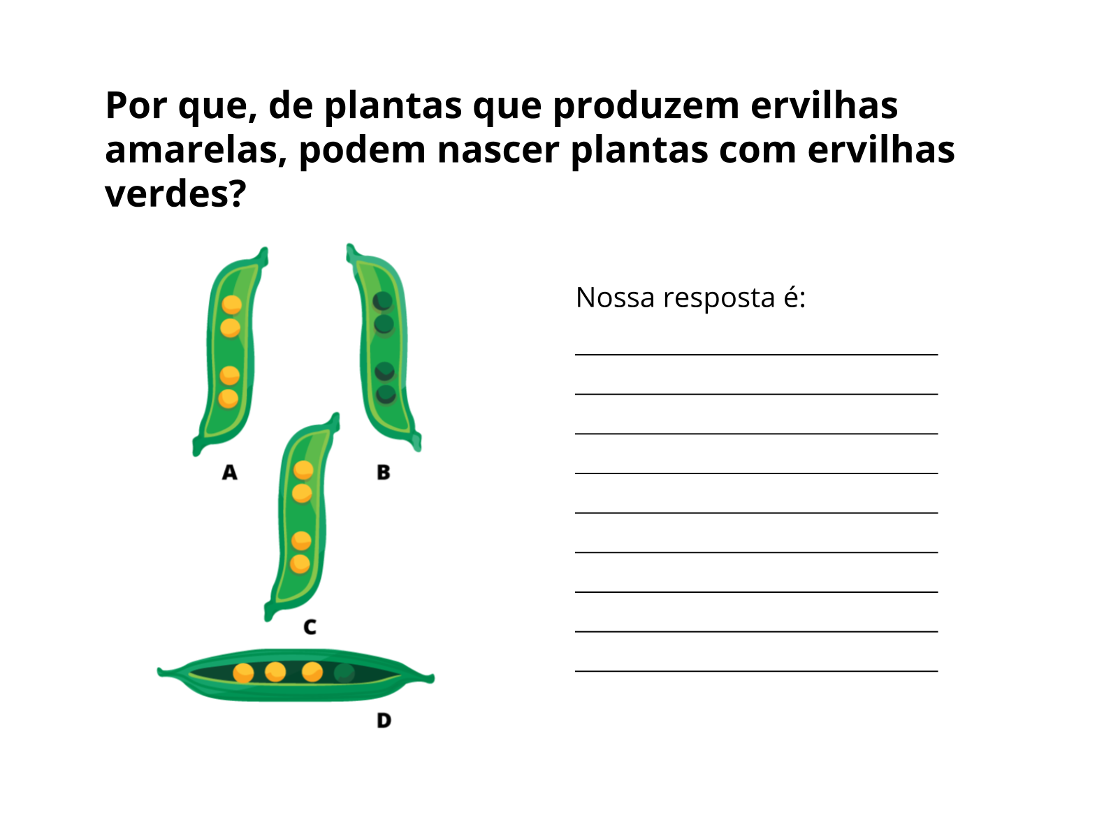 EXERCICIOS GENETICA PET 2 - Biologia Celular