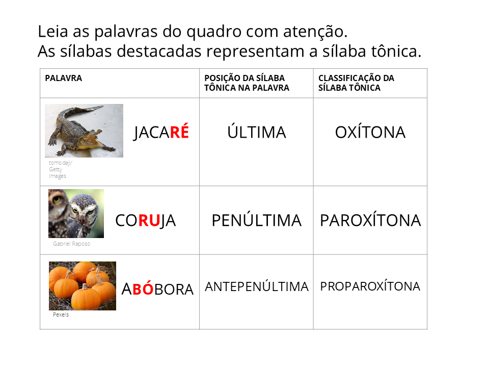 Leia as palavras do quadro com atenção. As sílabas destacadas representam a sílaba tônica.