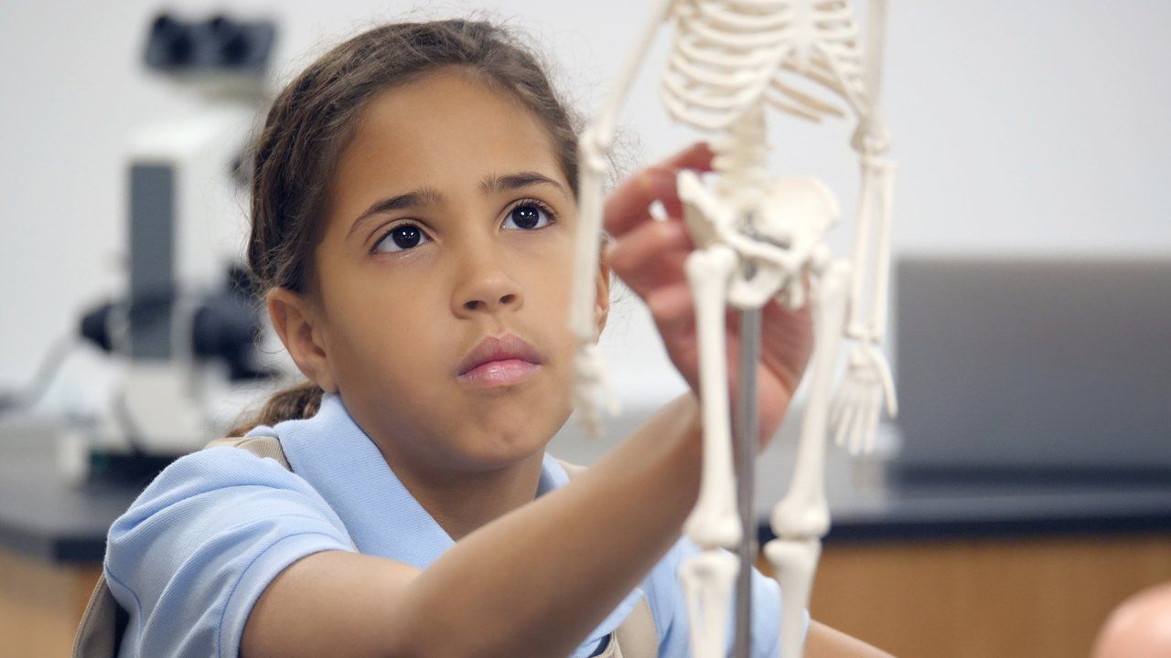 Aluna do Ensino Fundamental 1 examina modelo de esqueleto humano em tamanho pequeno em sala de aula
