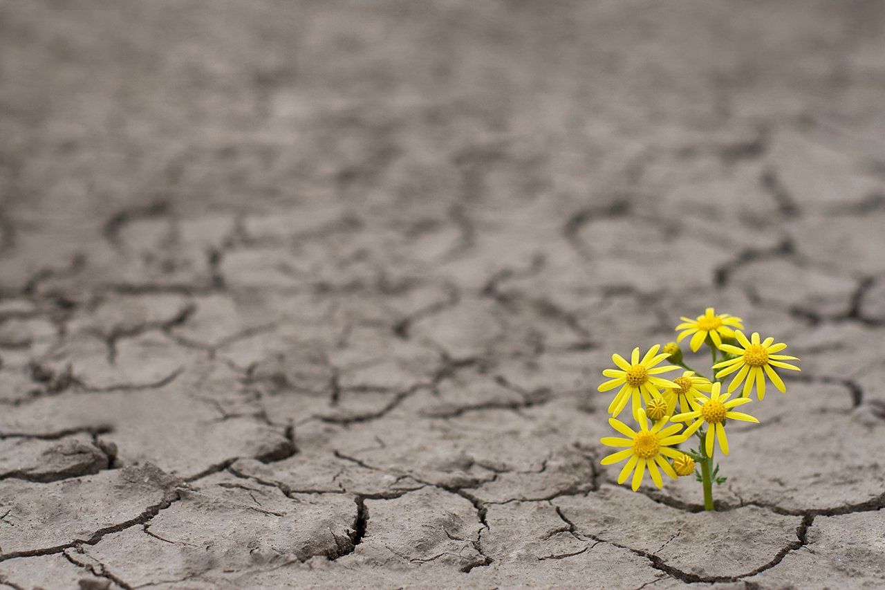 Resiliência na escola traz desafios (mas também muitas possibilidades) | Nova Escola