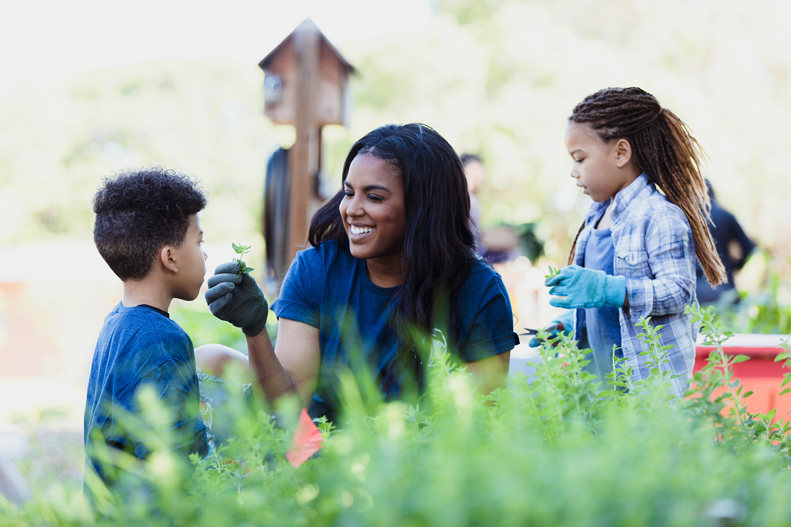 Professora e alunos participante de atividade no jadim da escola