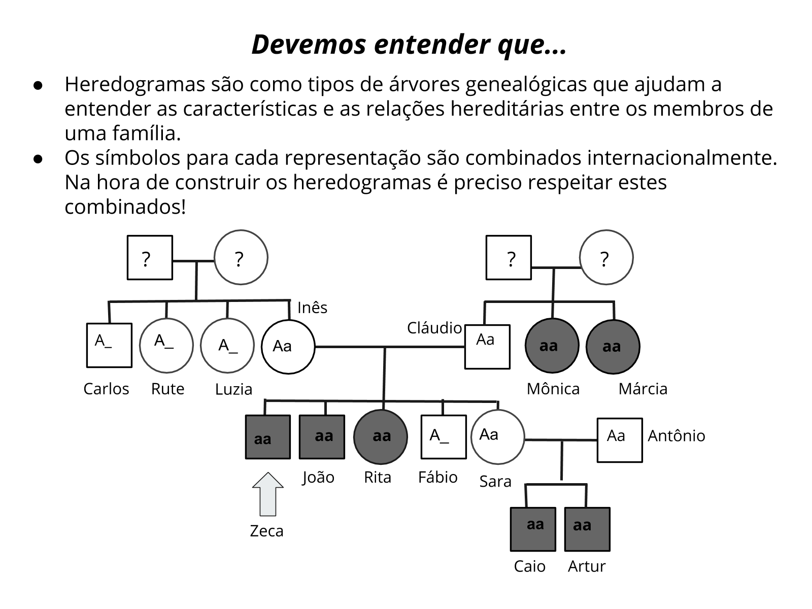 Construindo heredogramas - Planos de aula - 9º ano - Ciências