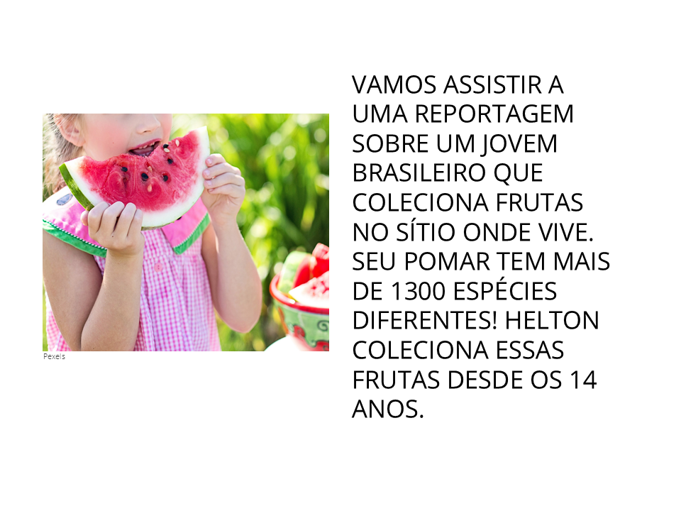 Vamos assistir a uma reportagem sobre um jovem brasileiro que coleciona frutas no sítio onde vive. Seu pomar tem mais de 1300 espécies diferentes! Helton coleciona essas frutas desde os 14 anos.