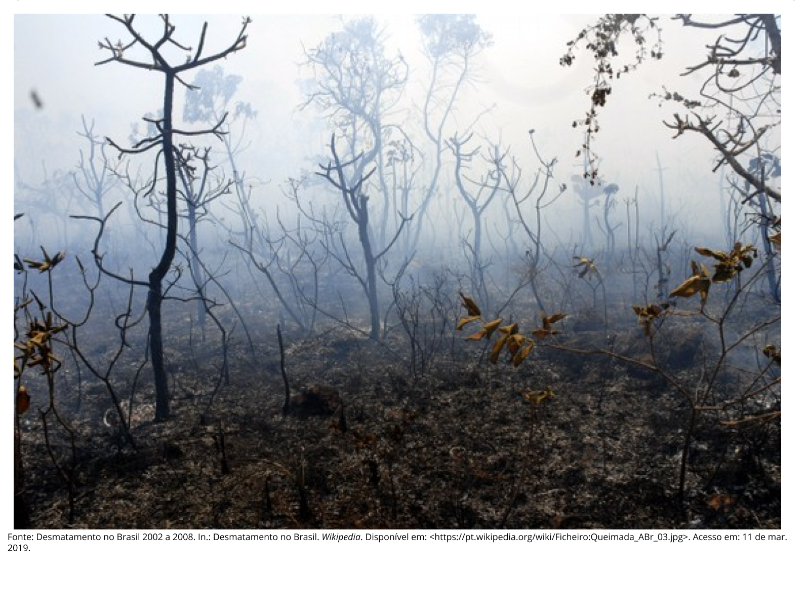 O processo de degradação ambiental das paisagens brasileiras: causas e ...