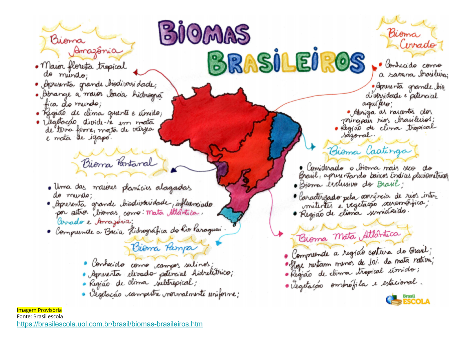 A vegetação brasileira: tipos, características e mapa