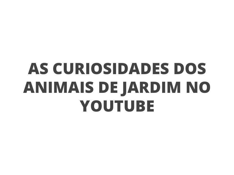 As curiosidades dos animais de jardim no youtube