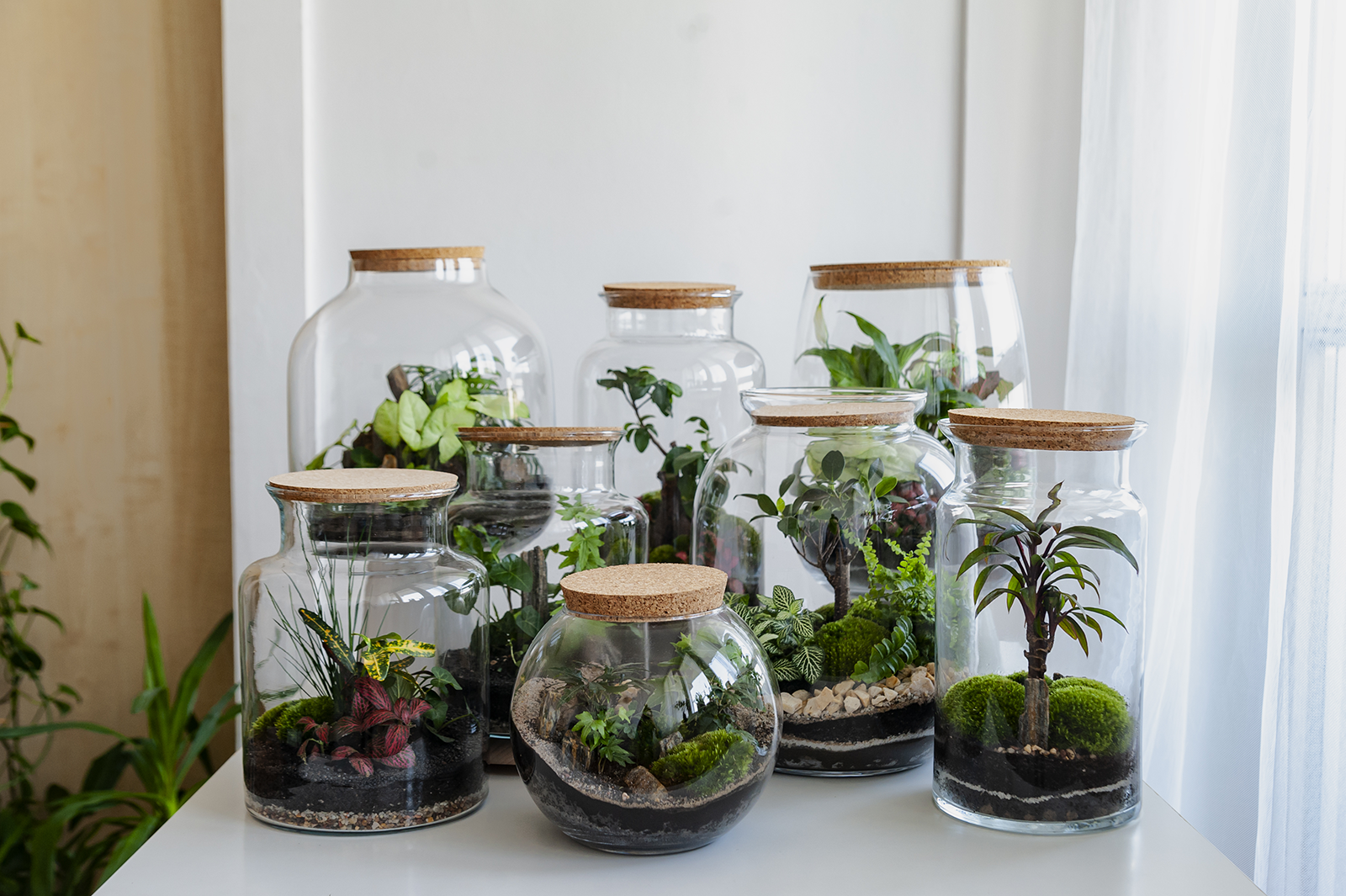 Conjunto de frascos com floresta viva, autoecossistema, (terr&aacute;rios)