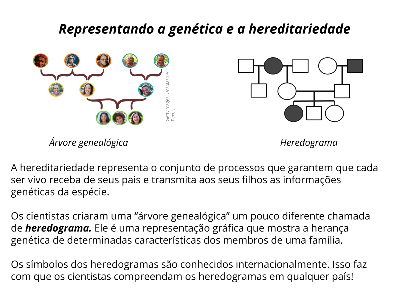 Filho Leitor: Atividades Iniciais da 7ª Etapa