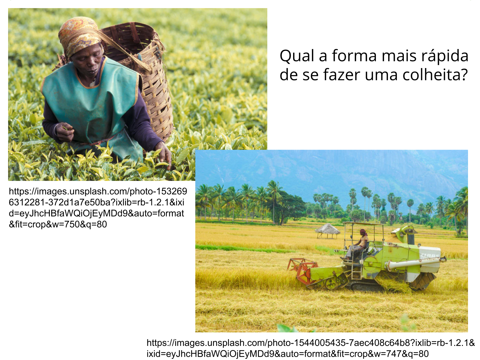 O Que São Atividades Rurais Não Agrícolas De Exemplos