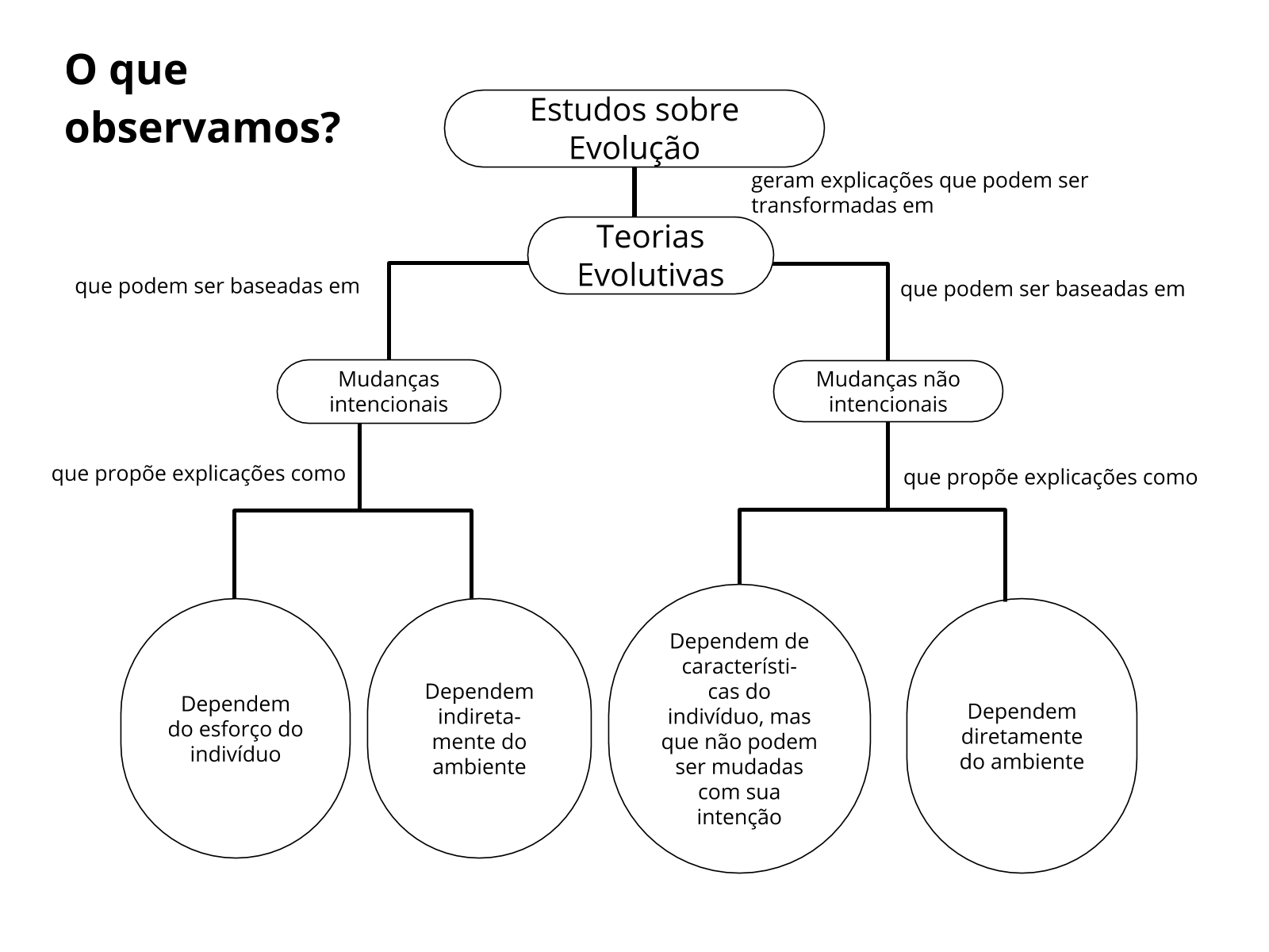 Quando Falamos Em Teorias Evolucionistas Um Dos Exemplos Mais Conhecidos