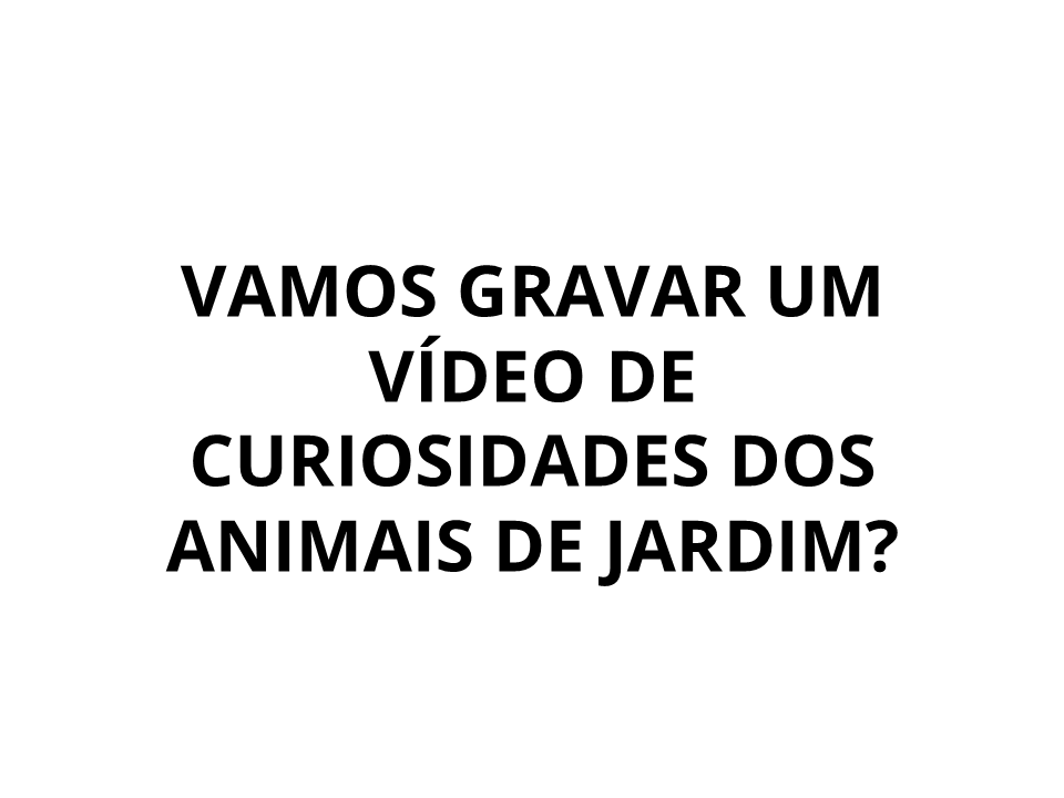 Vamos gravar um vídeo de curiosidades dos animais de jardim?