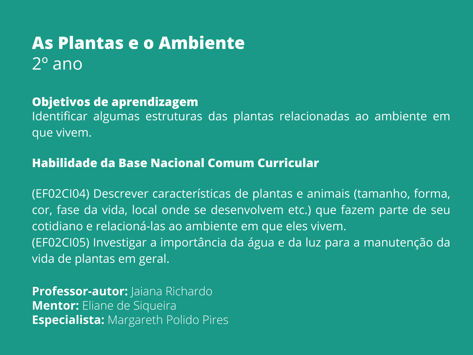 Sobre este plano