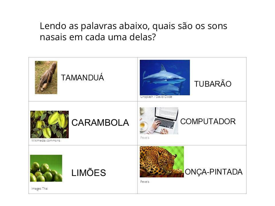 Lendo as palavras abaixo, quais são os sons nasais em cada uma delas? Tamanduá, Tubarão, Carambola, Computador, Limões e Onça-pintada.