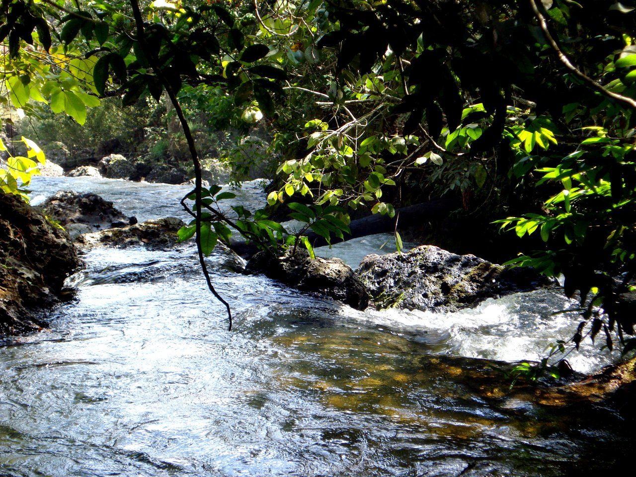 Corredeira de rio em Paraúna, estado de Goiás