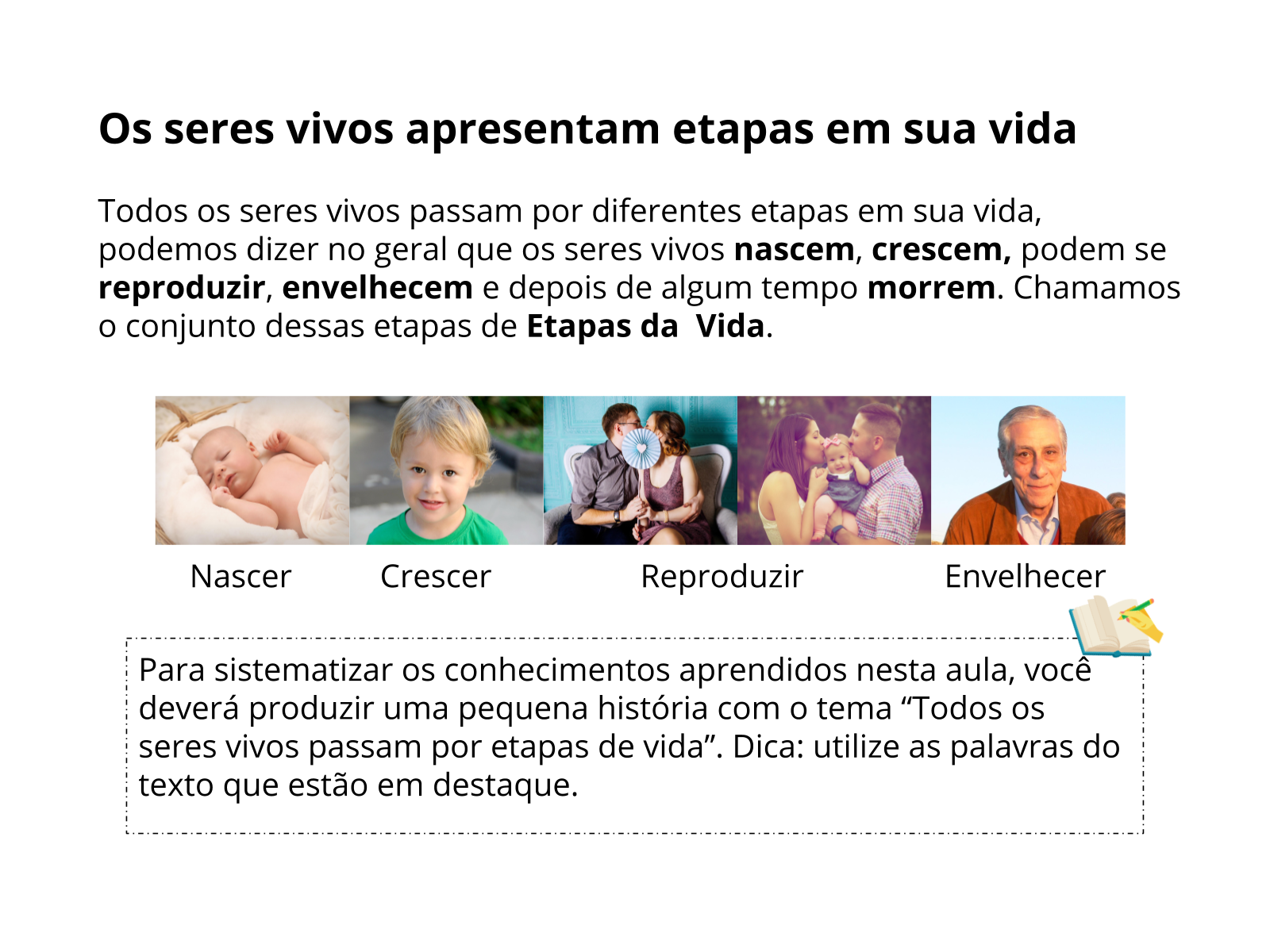 Como reverter a pesquisa de vídeo no Google? [Apenas 5 etapas]