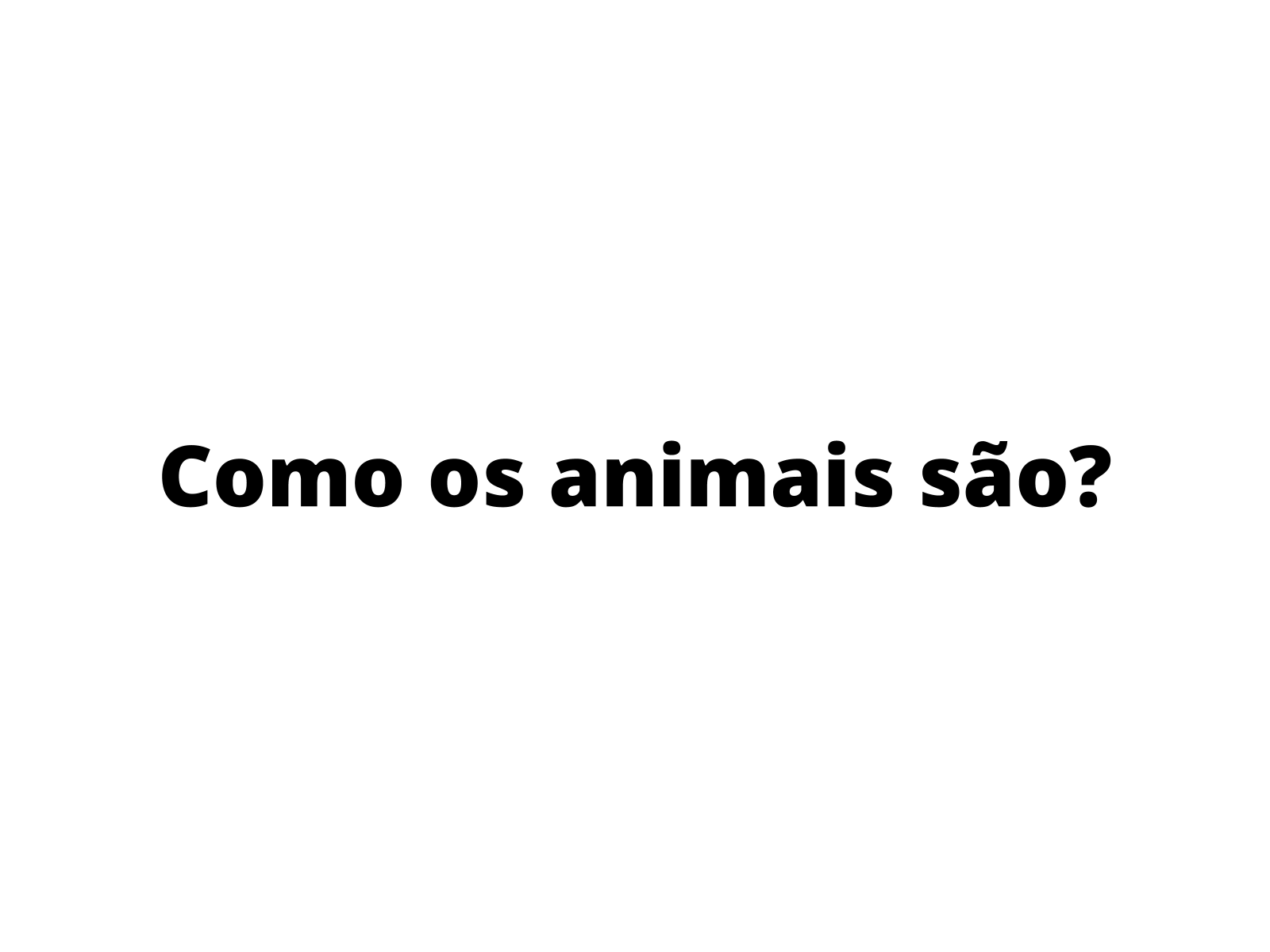 Plano de Aula - 3º Ano - Critérios para classificar objetos