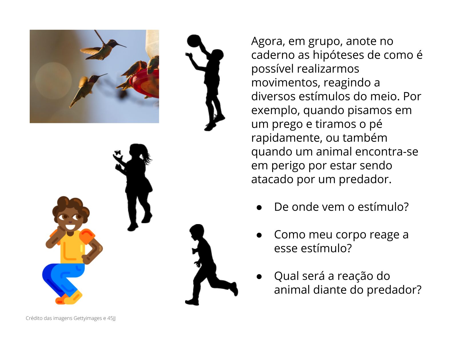 Atividades sobre Sistema Nervoso - Ensino Fundamental. - Aprender e Brincar