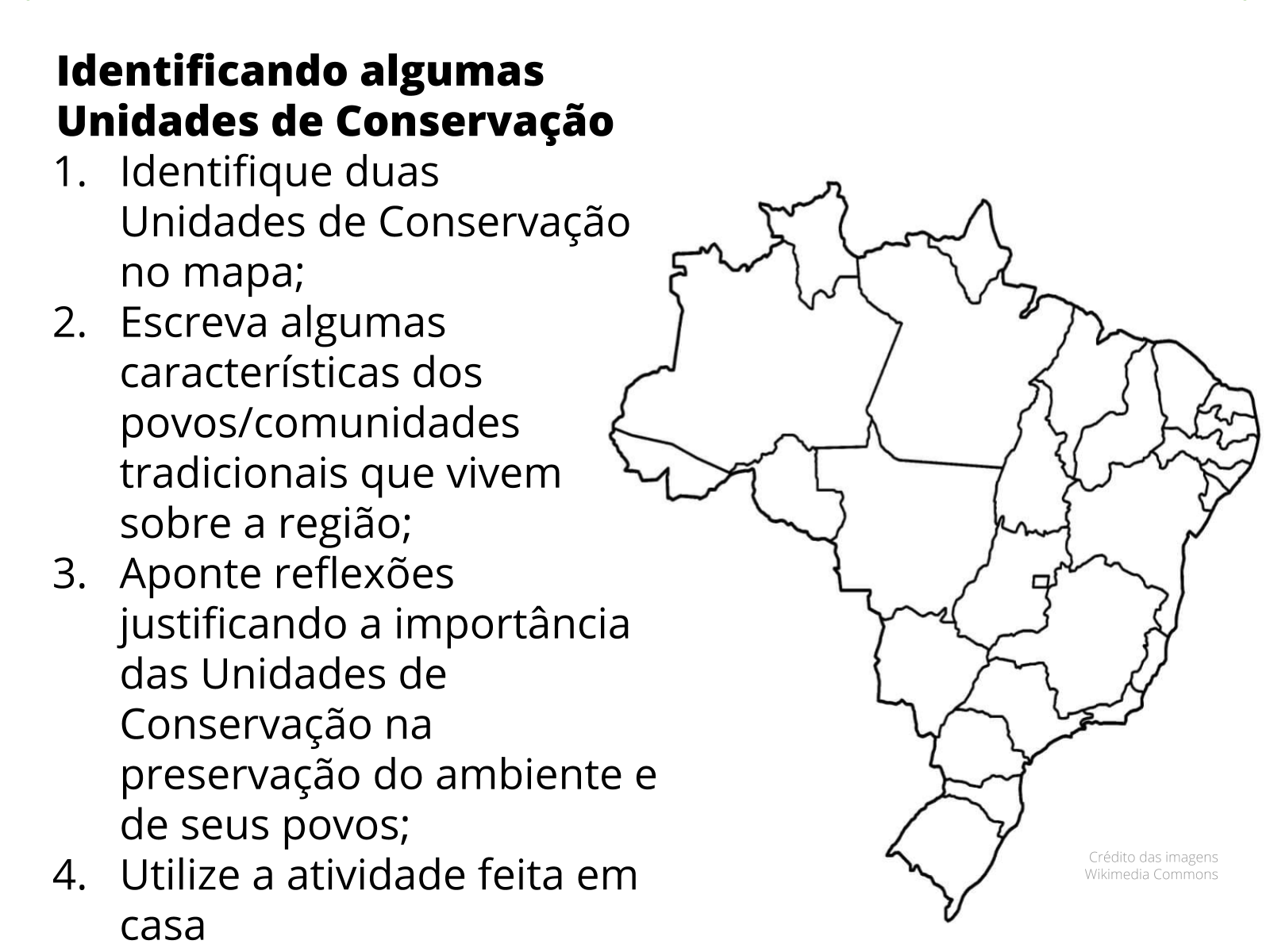 Ação Propositiva