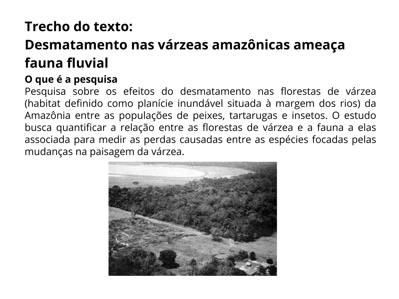 Leitura e análise de textos multissemióticos - Planos de aula - 5º ano ...