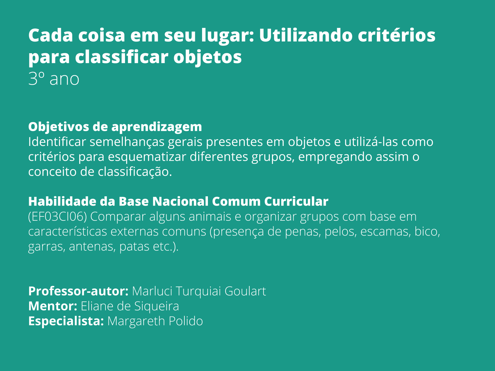 Plano de Aula - 3º Ano - Critérios para classificar objetos