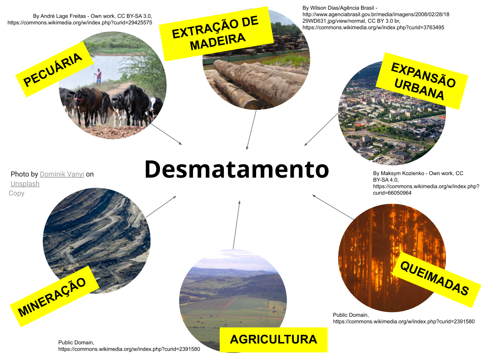 Jogos Conceituais em Ambiente Específico