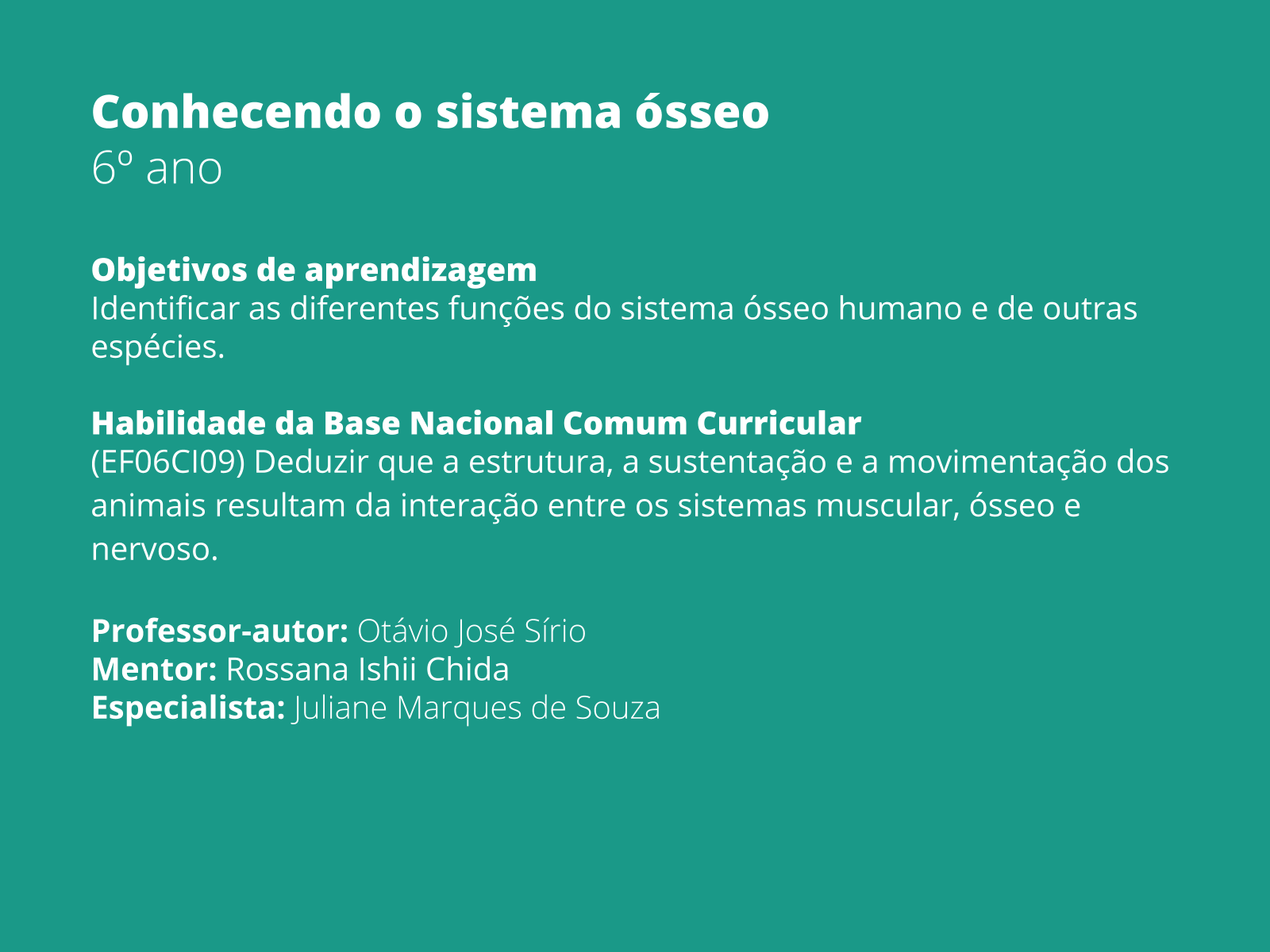 Plano de aula - 6o ano - Conhecendo o sistema ósseo