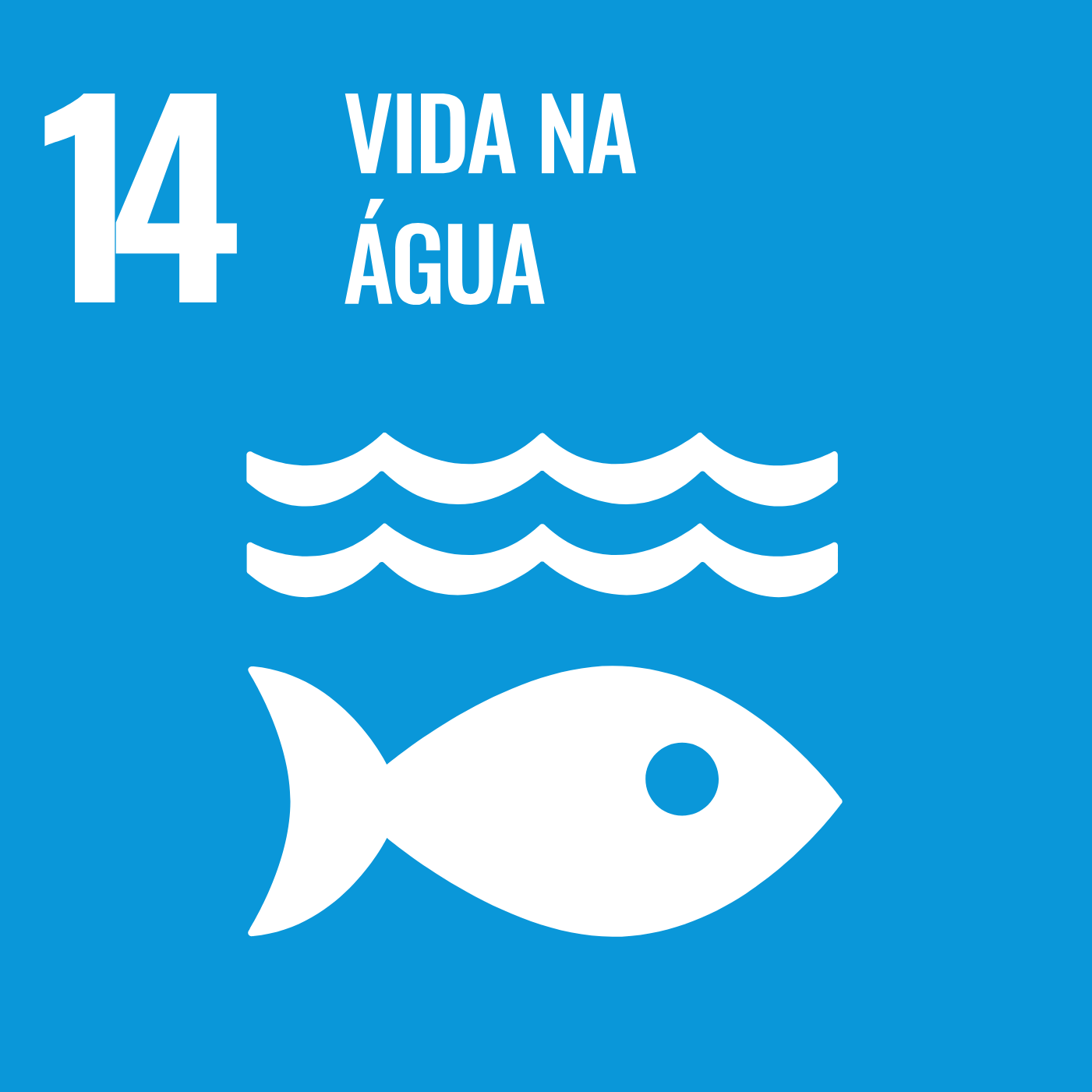 Objetivo de Desenvolvimento Sustent&aacute;vel no Brasil 14: Vida na &aacute;gua